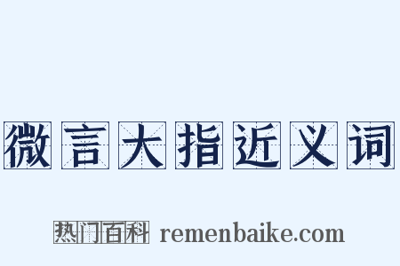微言大指近义词是什么意思的图片